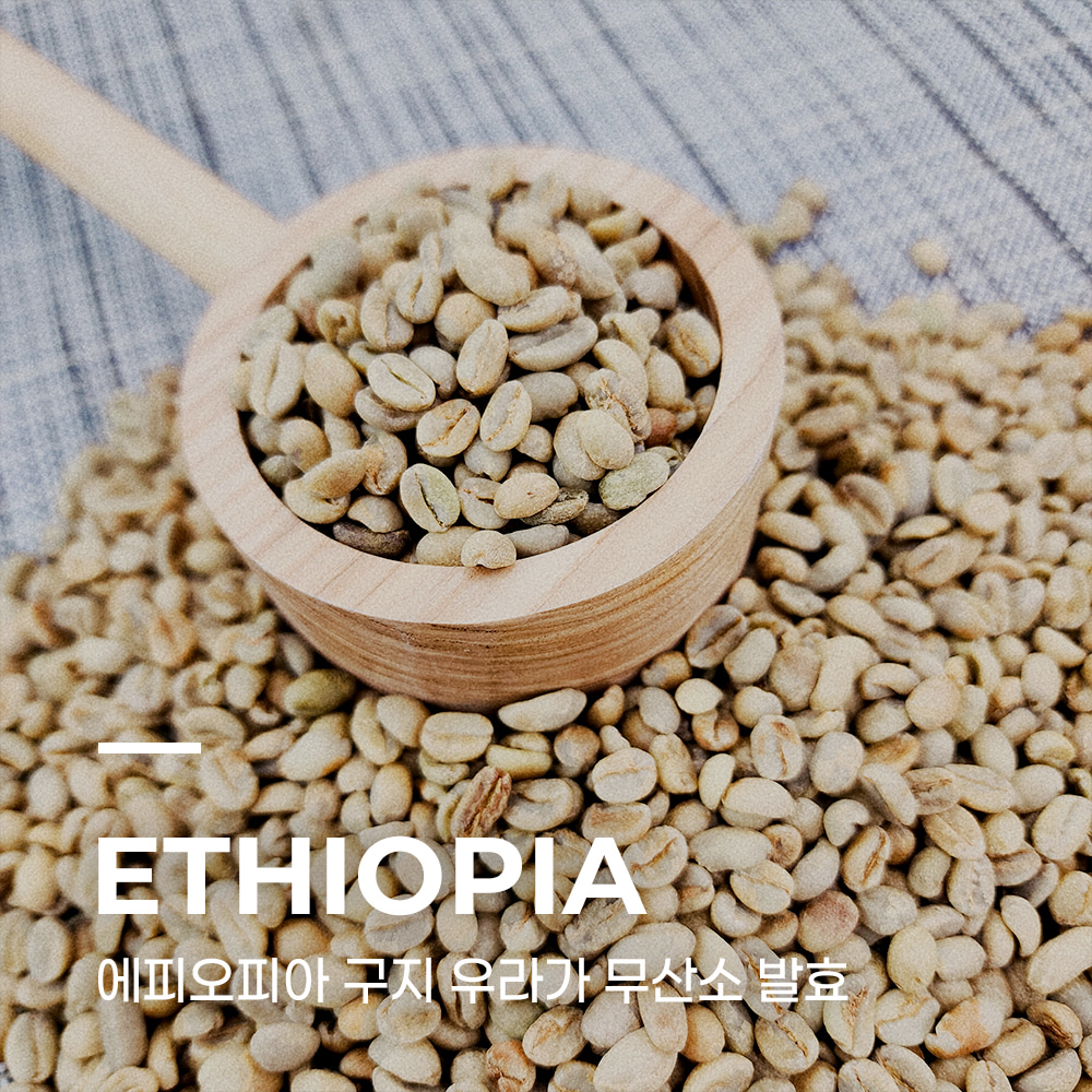 캅카와 커피생두 에티오피아 구지 우라가 무산소발효 5kg