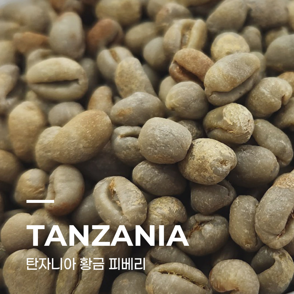 캅카와 커피생두 탄자니아 황금 피베리 내추럴 5kg
