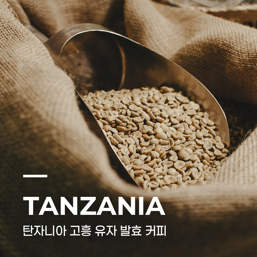 캅카와 커피생두 탄자니아 고흥 유자 발효 커피 1kg (4종 택1)